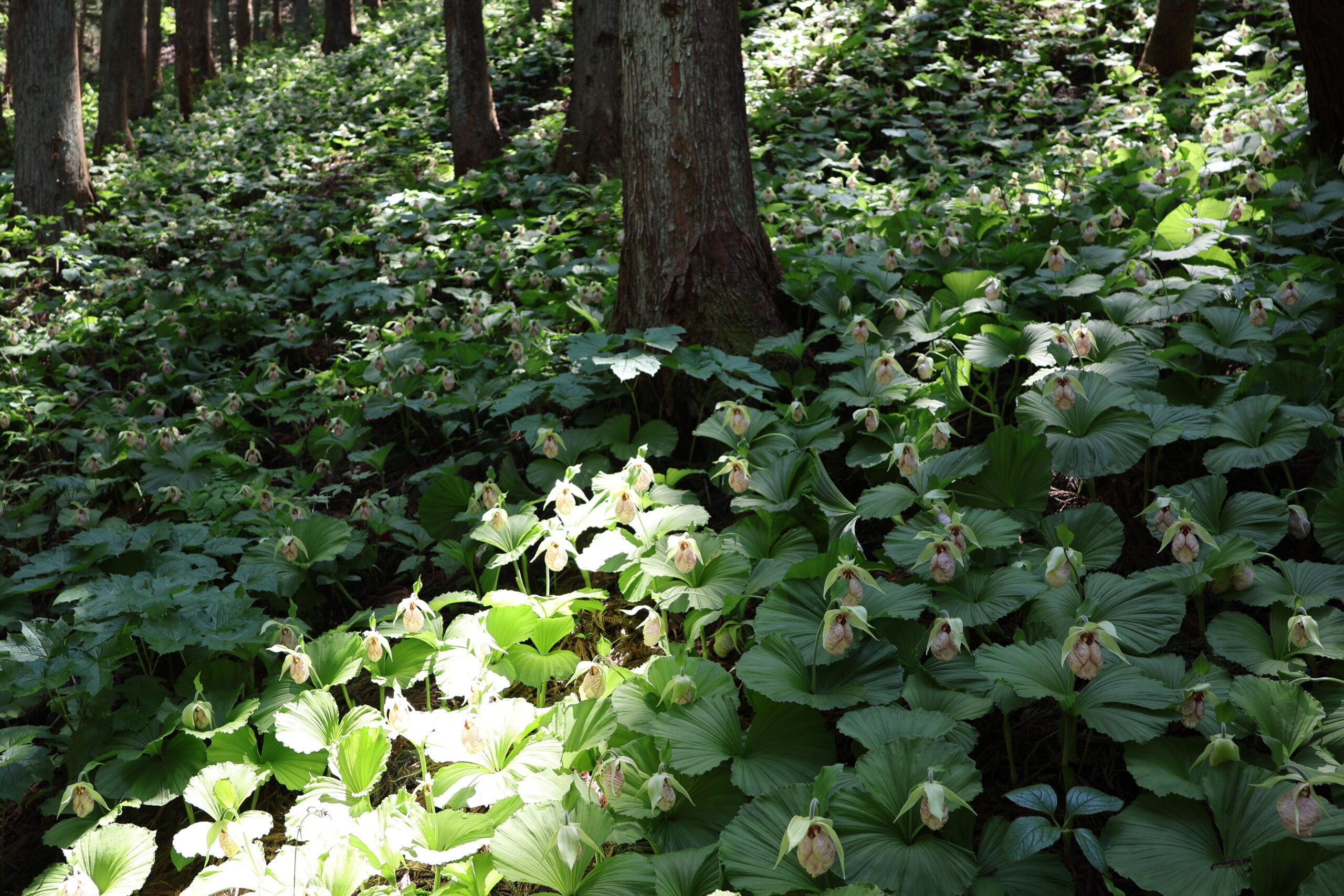 image3