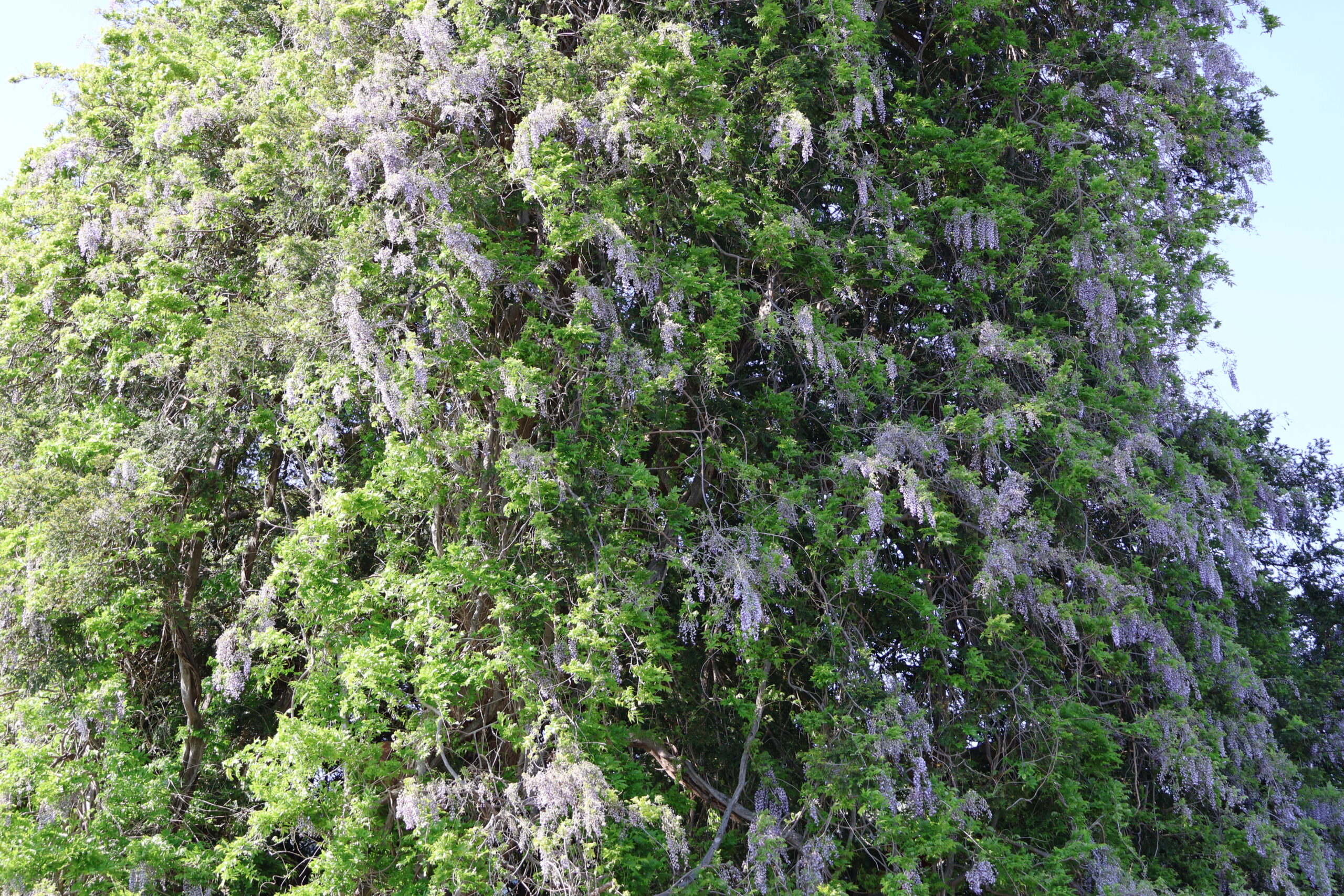 image2