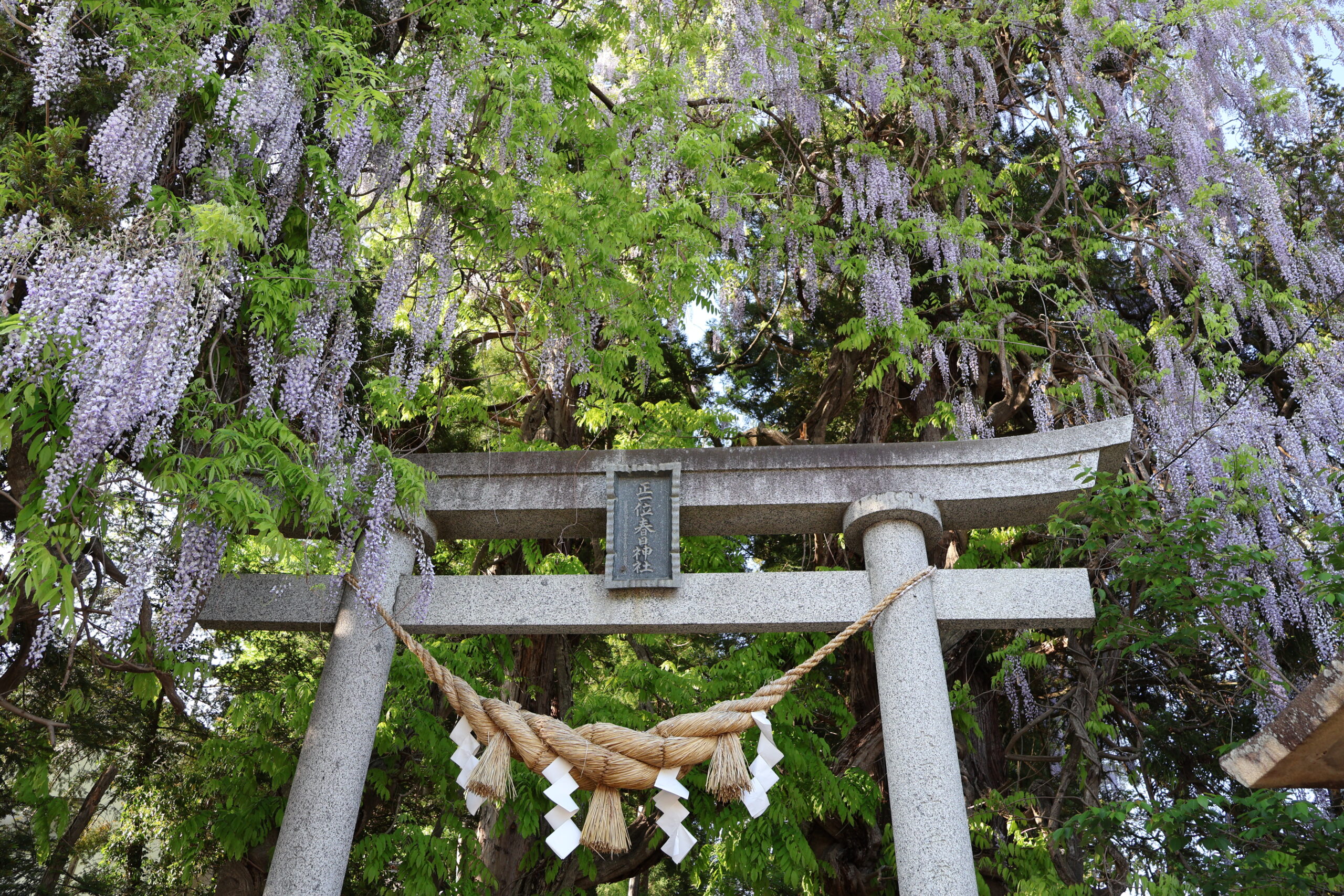 image3