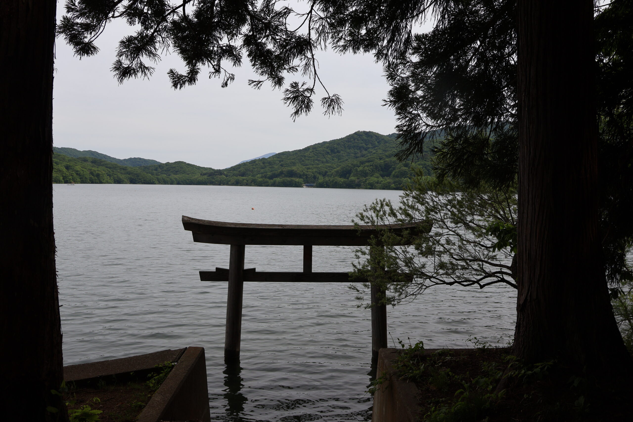 image4