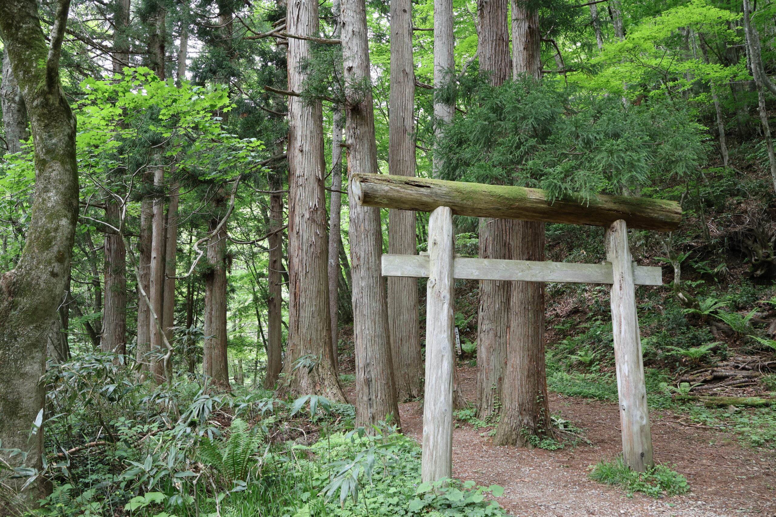 image2