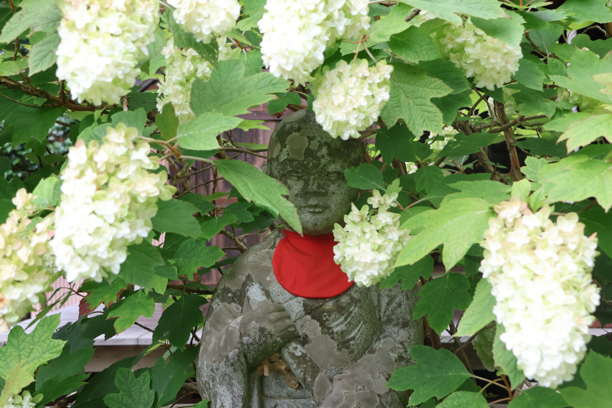 image4
