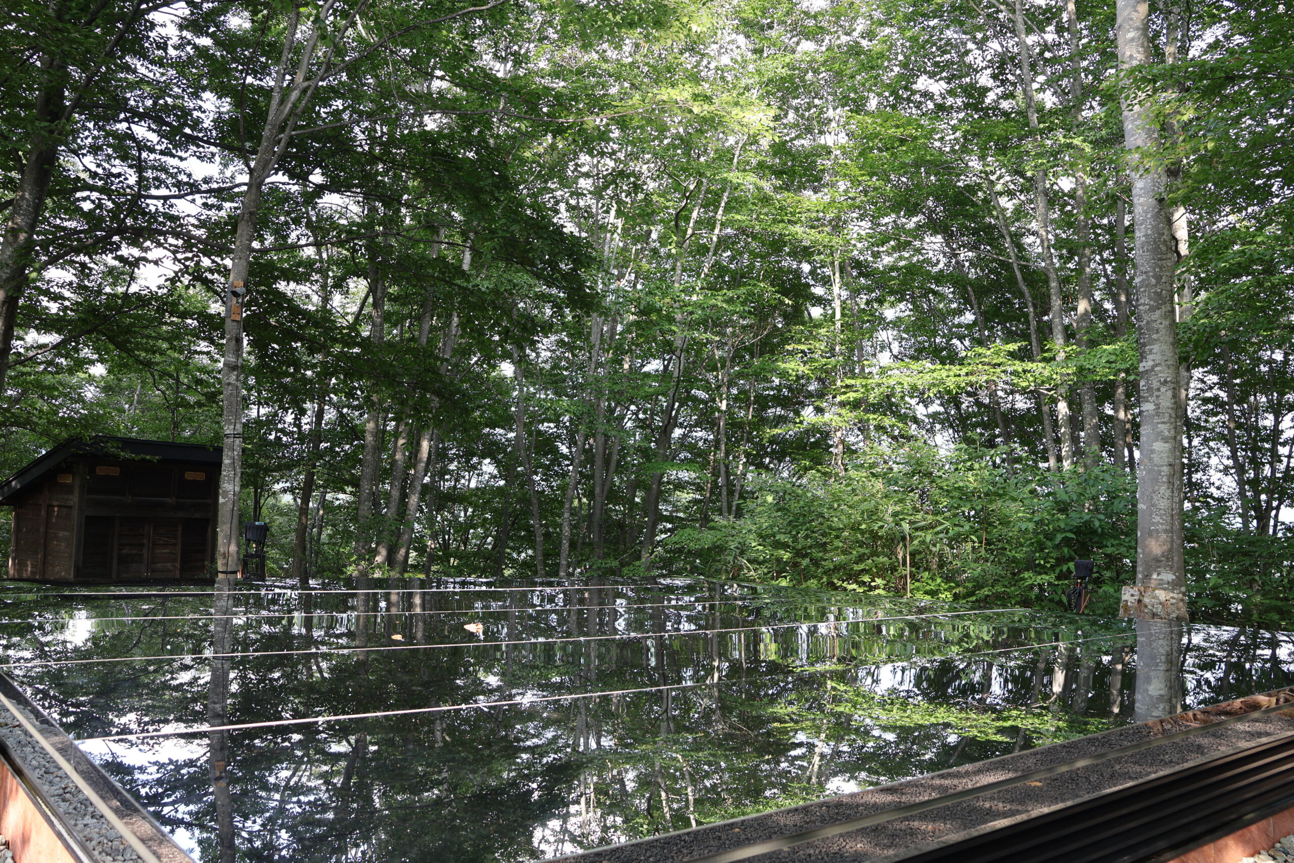 image4