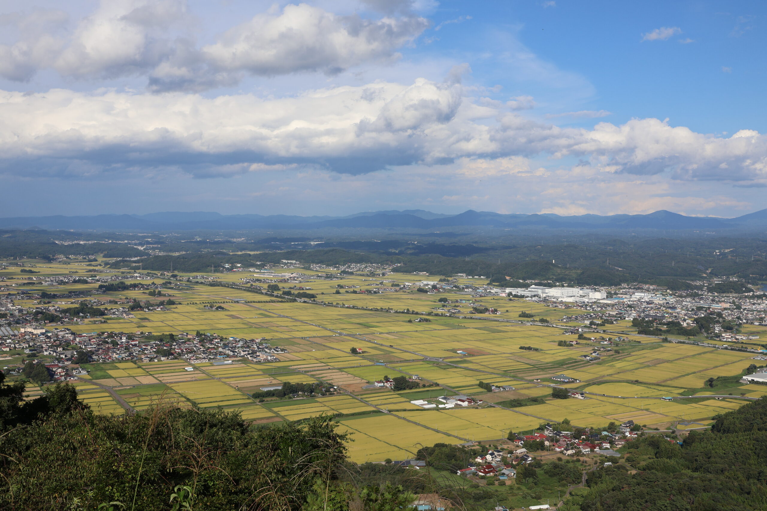 image1