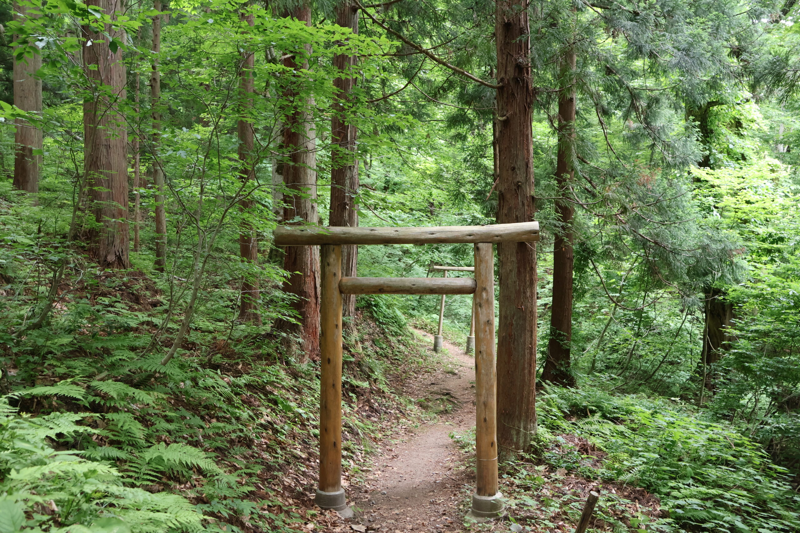image3