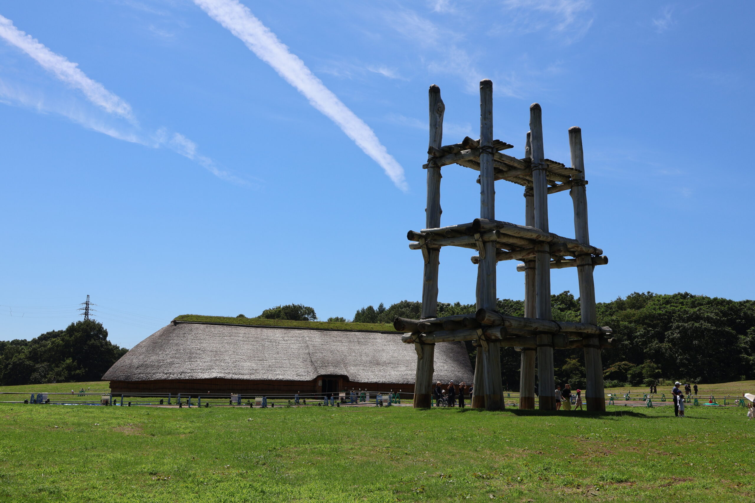 image1