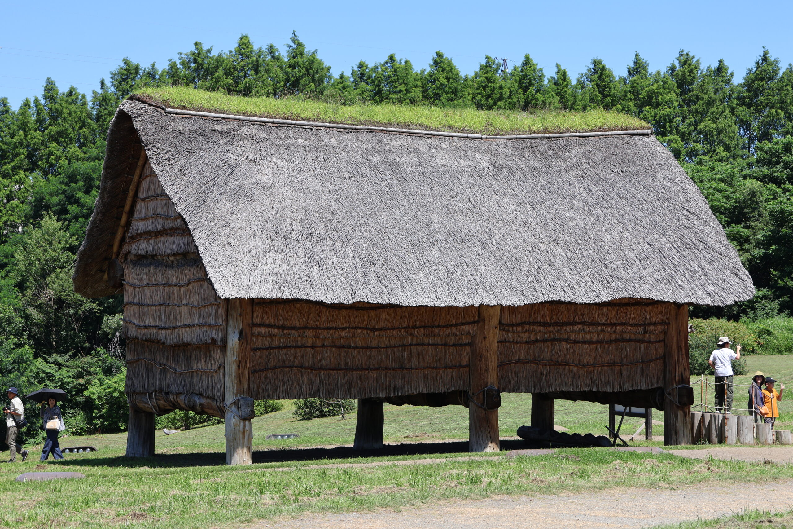 image4